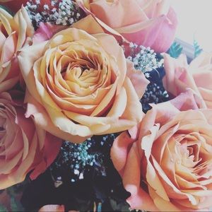 Meet your Posher, Lynne